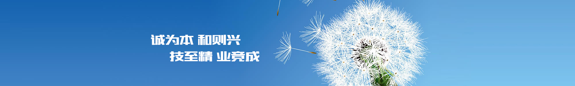 車(chē)牌識(shí)別管理系統(tǒng)